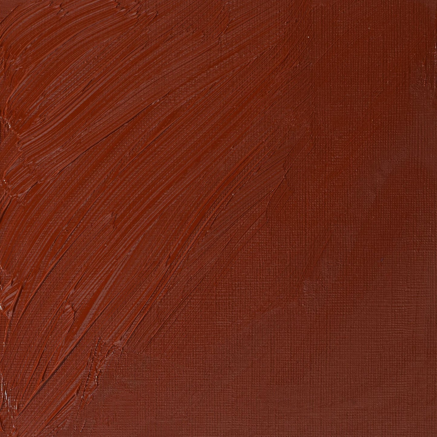 W & N Artists' Oil 37ml Venetian Red - theartshop.com.au