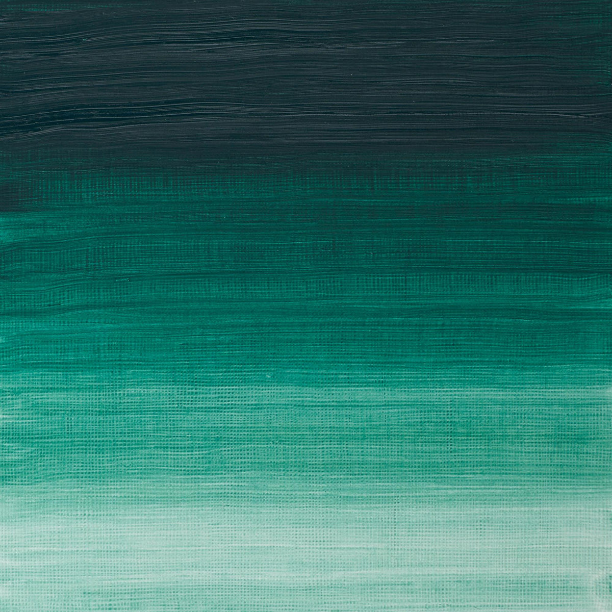 W & N Artists' Oil 37ml Viridian - theartshop.com.au