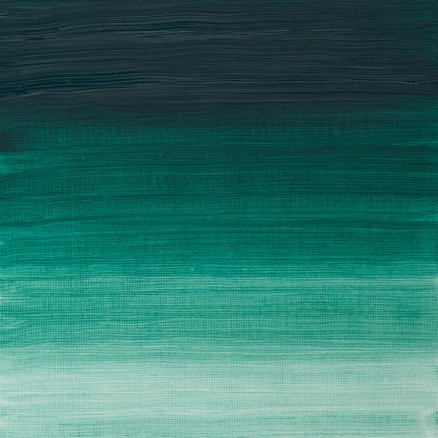 W & N Artists' Oil 37ml Viridian - theartshop.com.au
