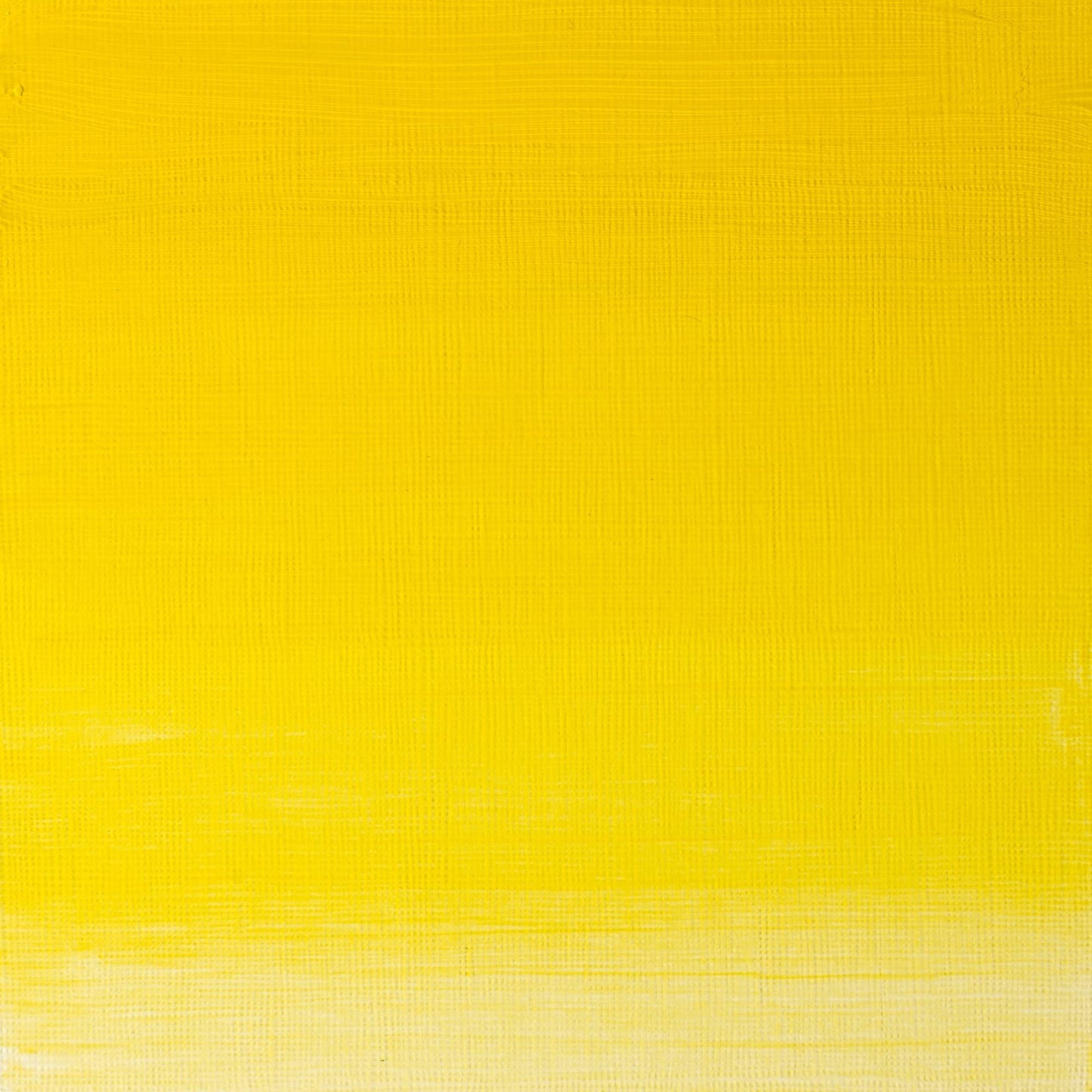 W & N Artists' Oil 37ml Winsor Yellow - theartshop.com.au