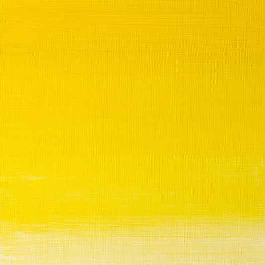 W & N Artists' Oil 37ml Winsor Yellow - theartshop.com.au