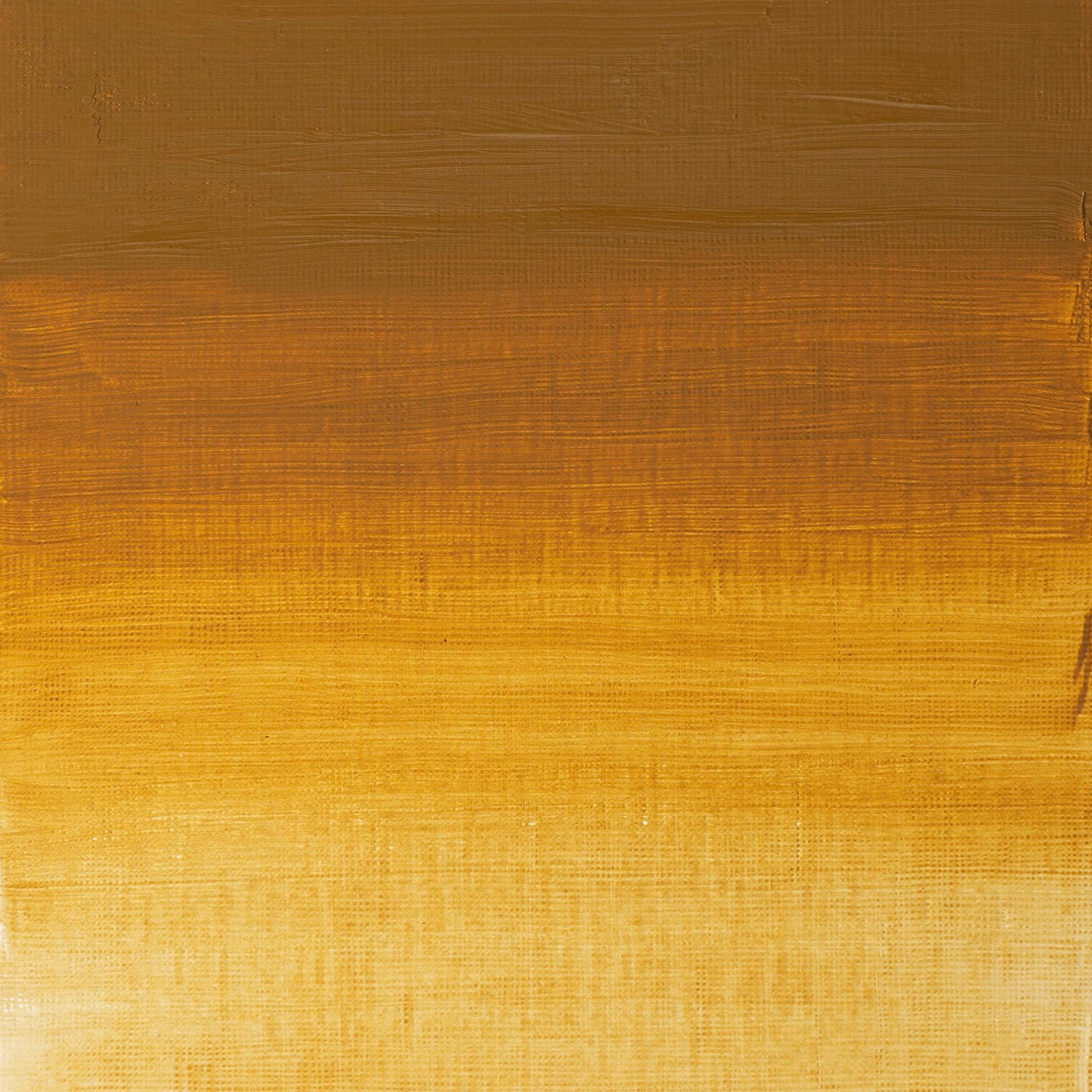 W & N Artists' Oil 37ml Yellow Ochre - theartshop.com.au