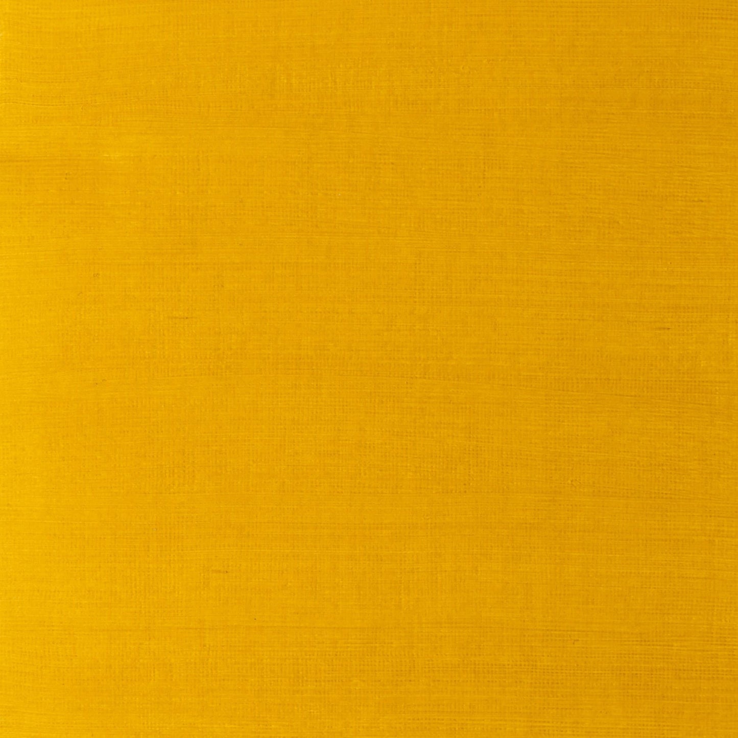 W & N Artists' Oil 37ml Yellow Ochre Light - theartshop.com.au