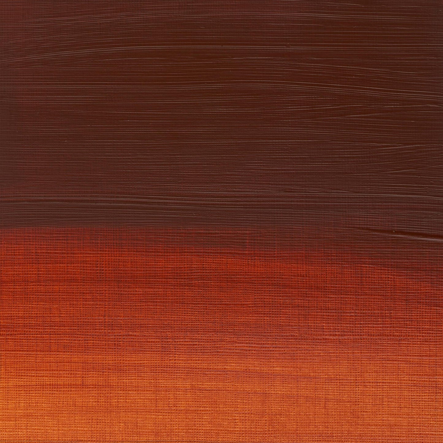 W & N Griffin Alkyd Oil 37ml Burnt Sienna - theartshop.com.au