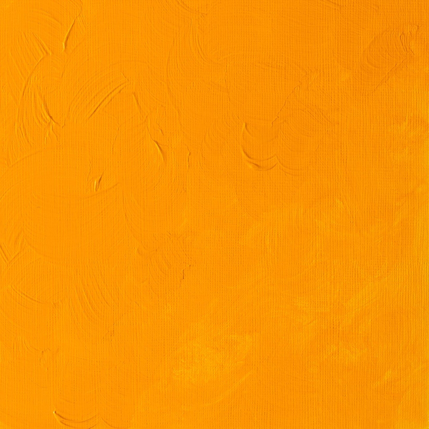 W & N Griffin Alkyd Oil 37ml Cadmium Yellow Deep - theartshop.com.au