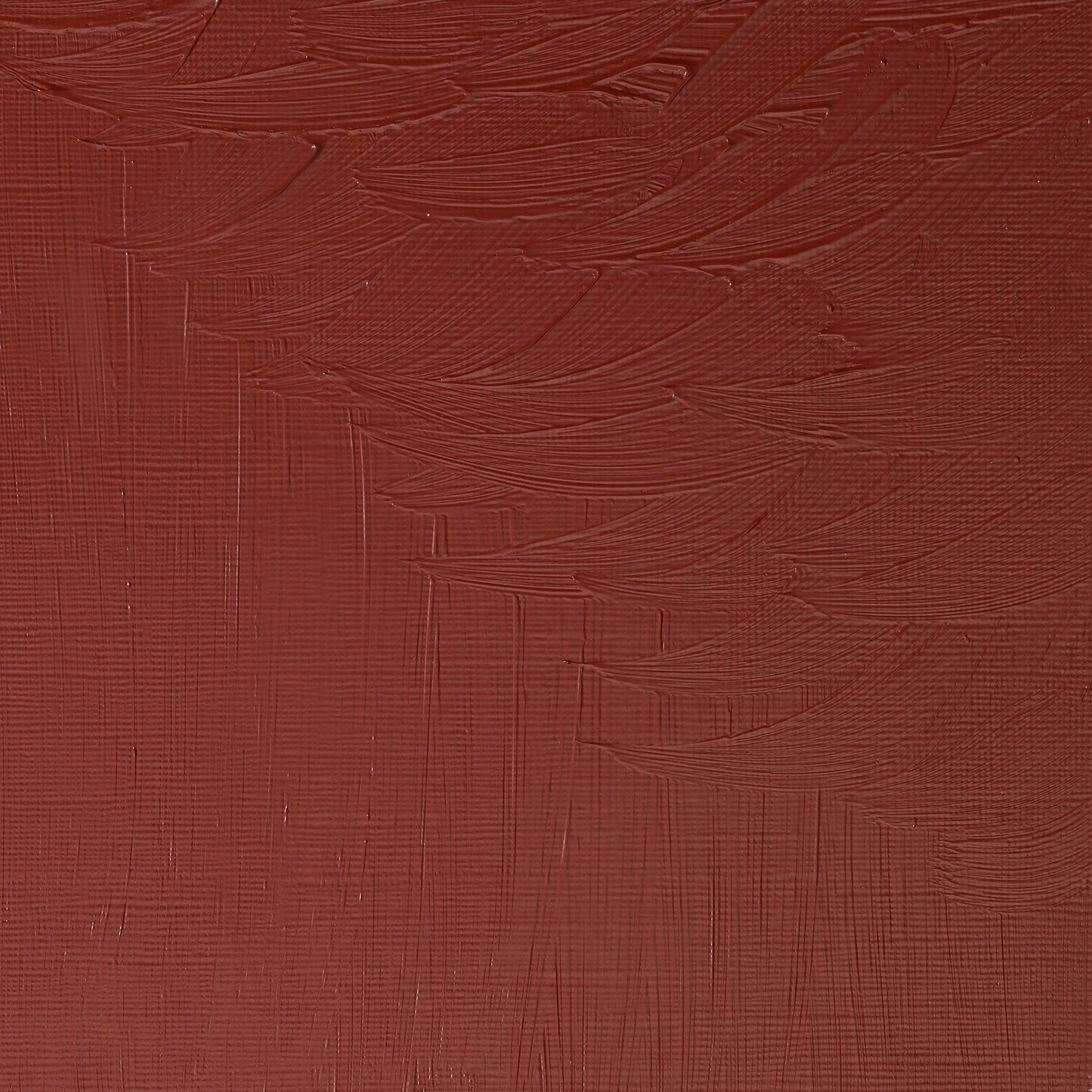 W & N Griffin Alkyd Oil 37ml Indian Red - theartshop.com.au