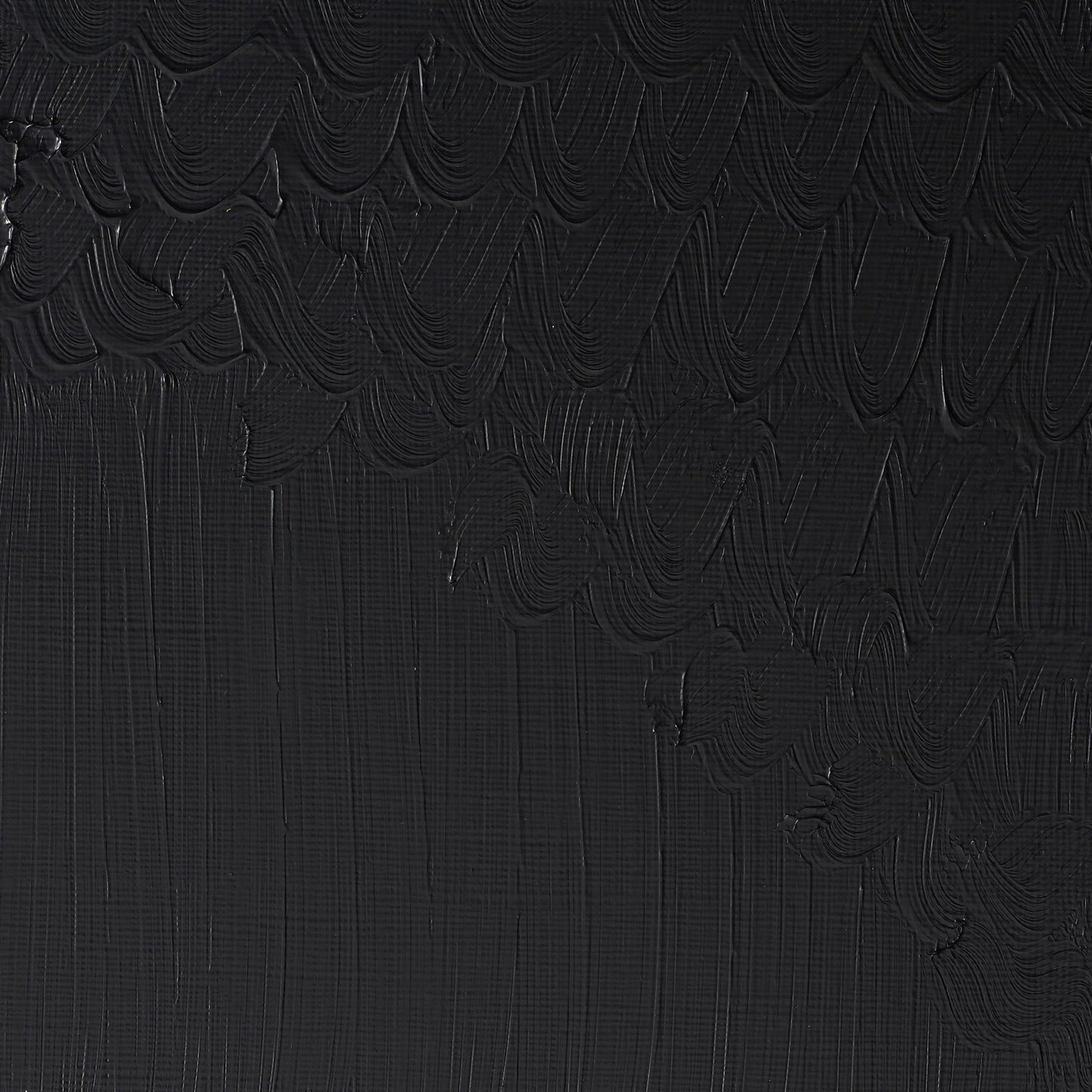 W & N Griffin Alkyd Oil 37ml Ivory Black - theartshop.com.au