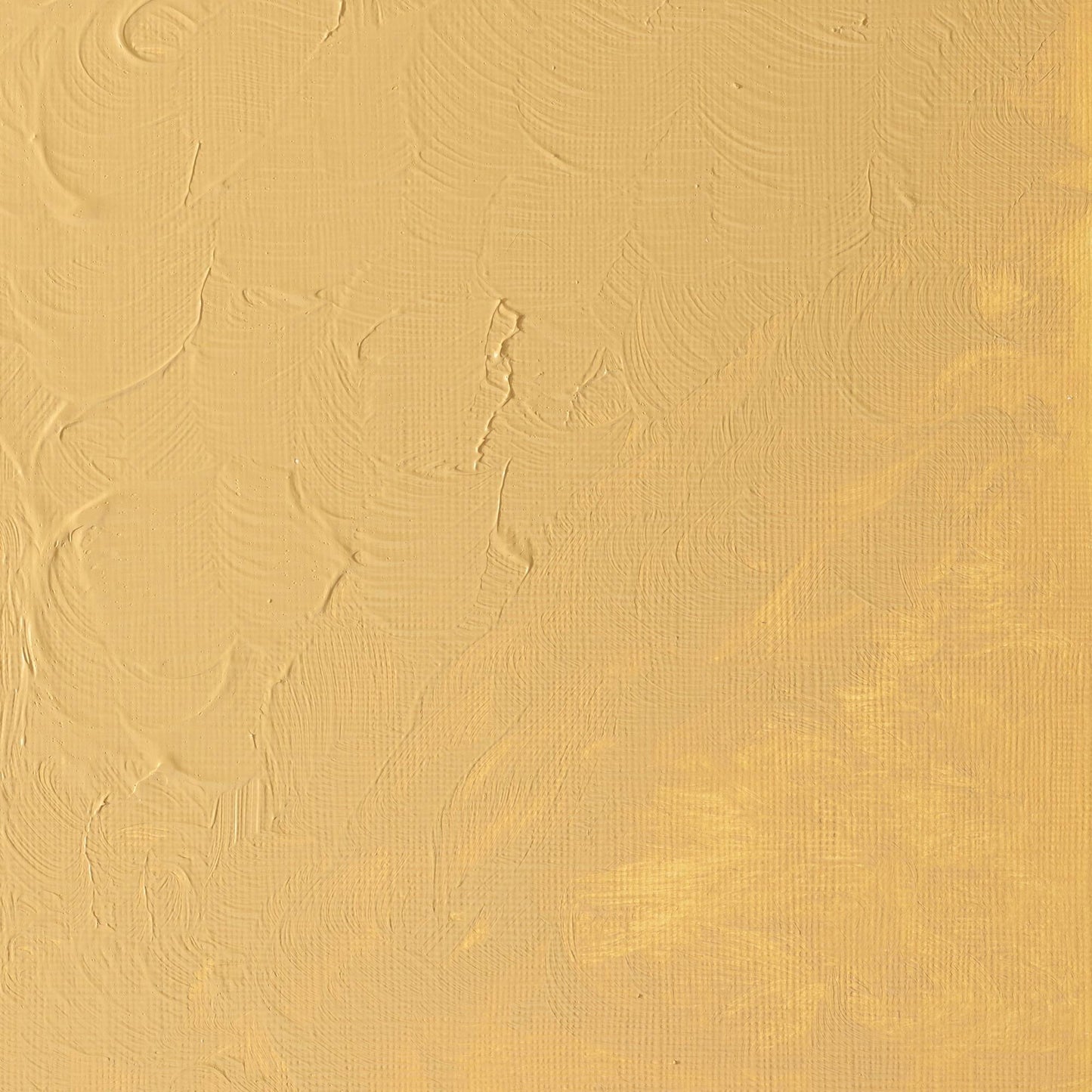 W & N Griffin Alkyd Oil 37ml Naples Yellow Hue - theartshop.com.au