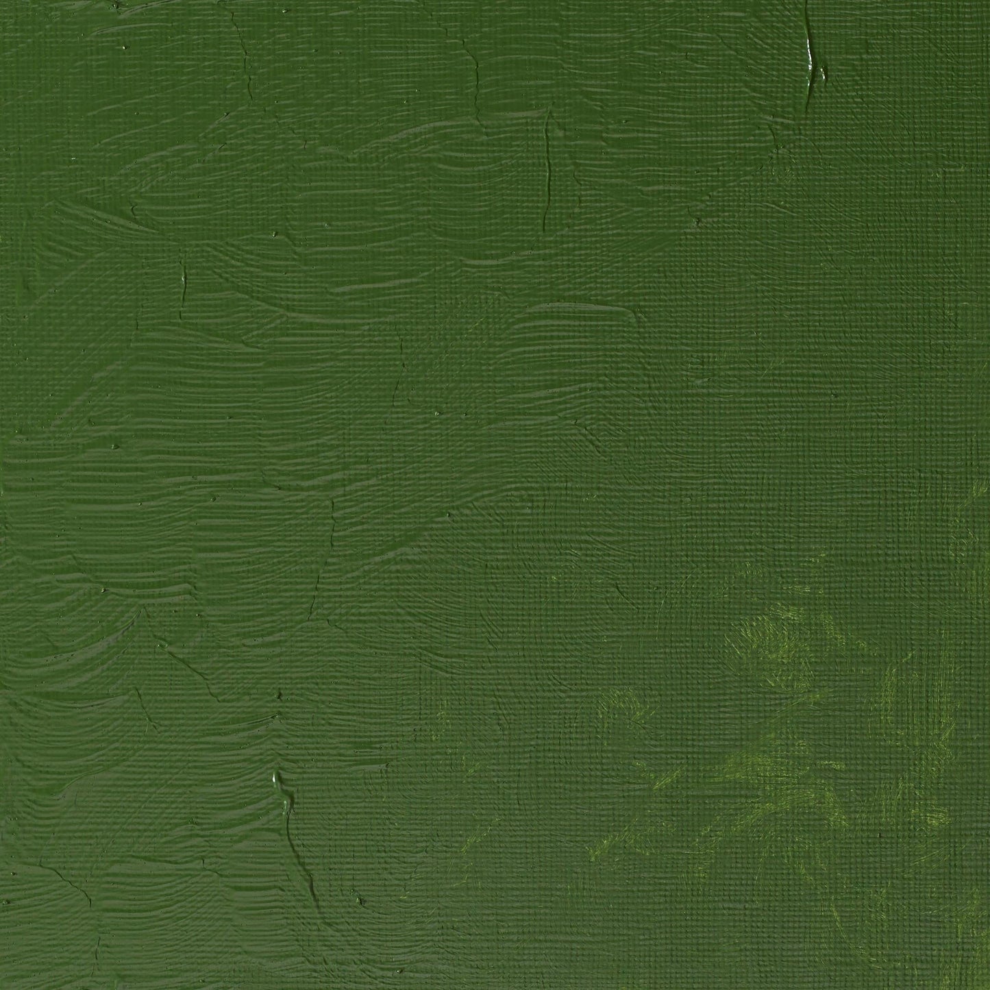 W & N Griffin Alkyd Oil 37ml Oxide of Chromium - theartshop.com.au