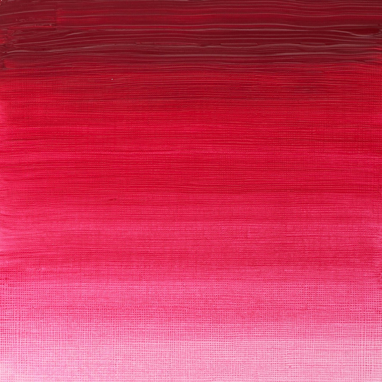 W & N Griffin Alkyd Oil 37ml Permanent Rose - theartshop.com.au