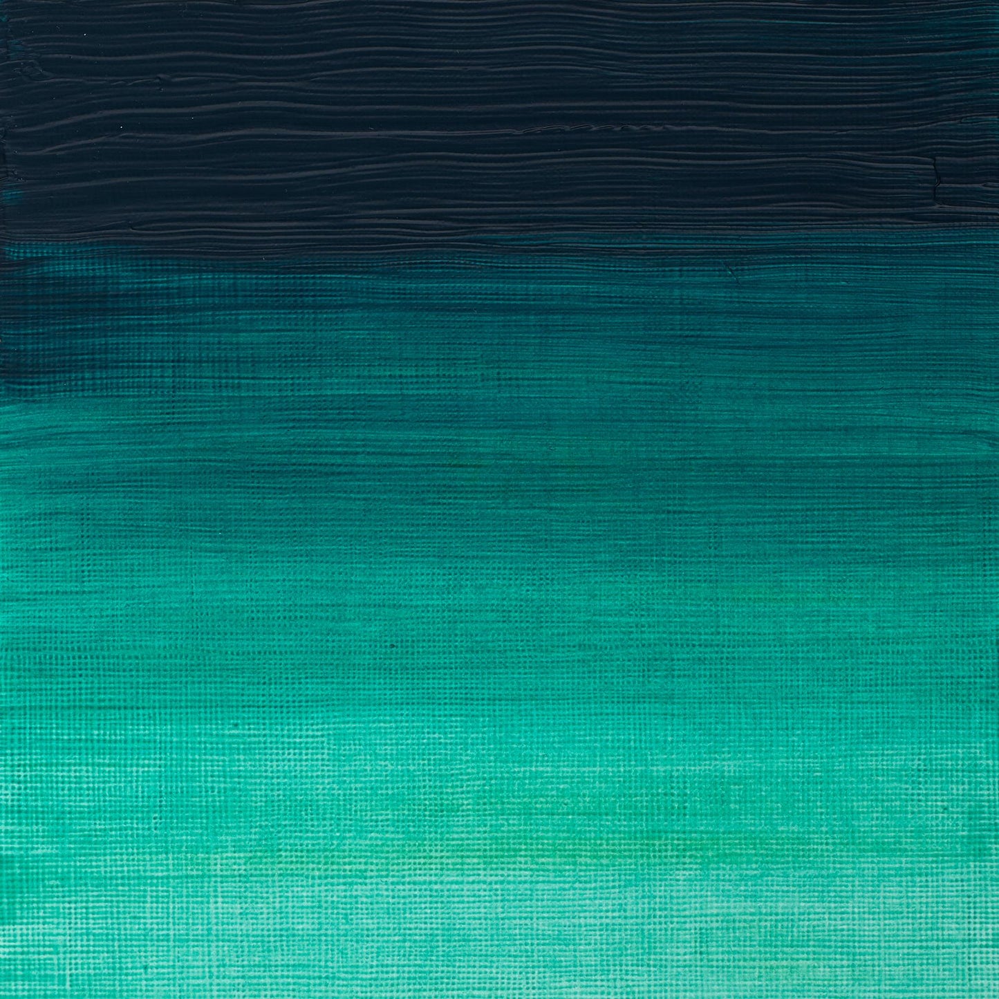 W & N Griffin Alkyd Oil 37ml Phthalo Green - theartshop.com.au