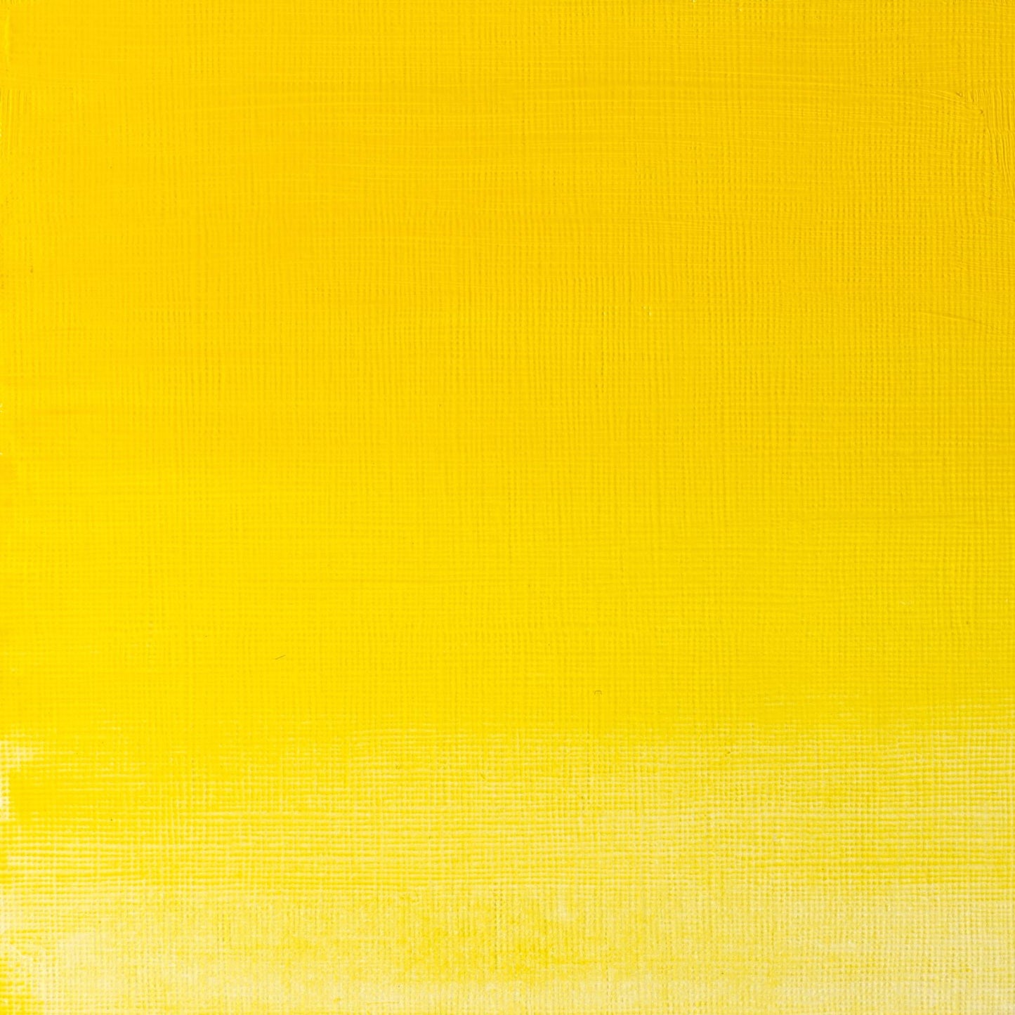 W & N Griffin Alkyd Oil 37ml Winsor Yellow - theartshop.com.au