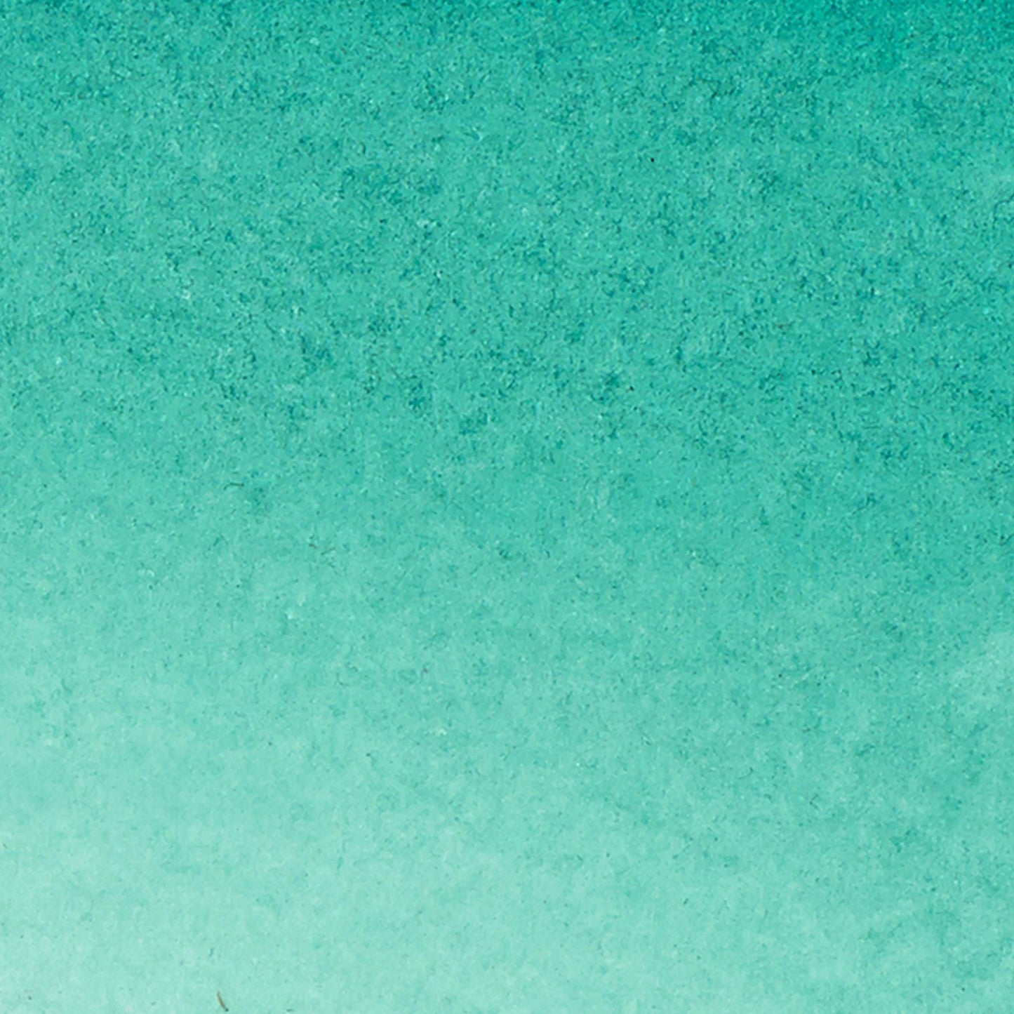 W & N Water Colour Marker Phthalo Green - theartshop.com.au
