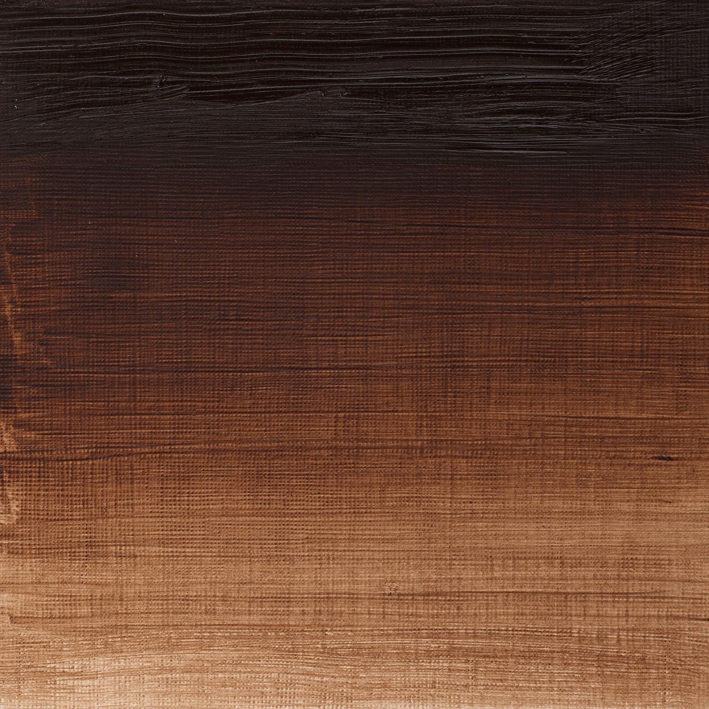 Winton Oil Colour 200ml Burnt Umber - theartshop.com.au