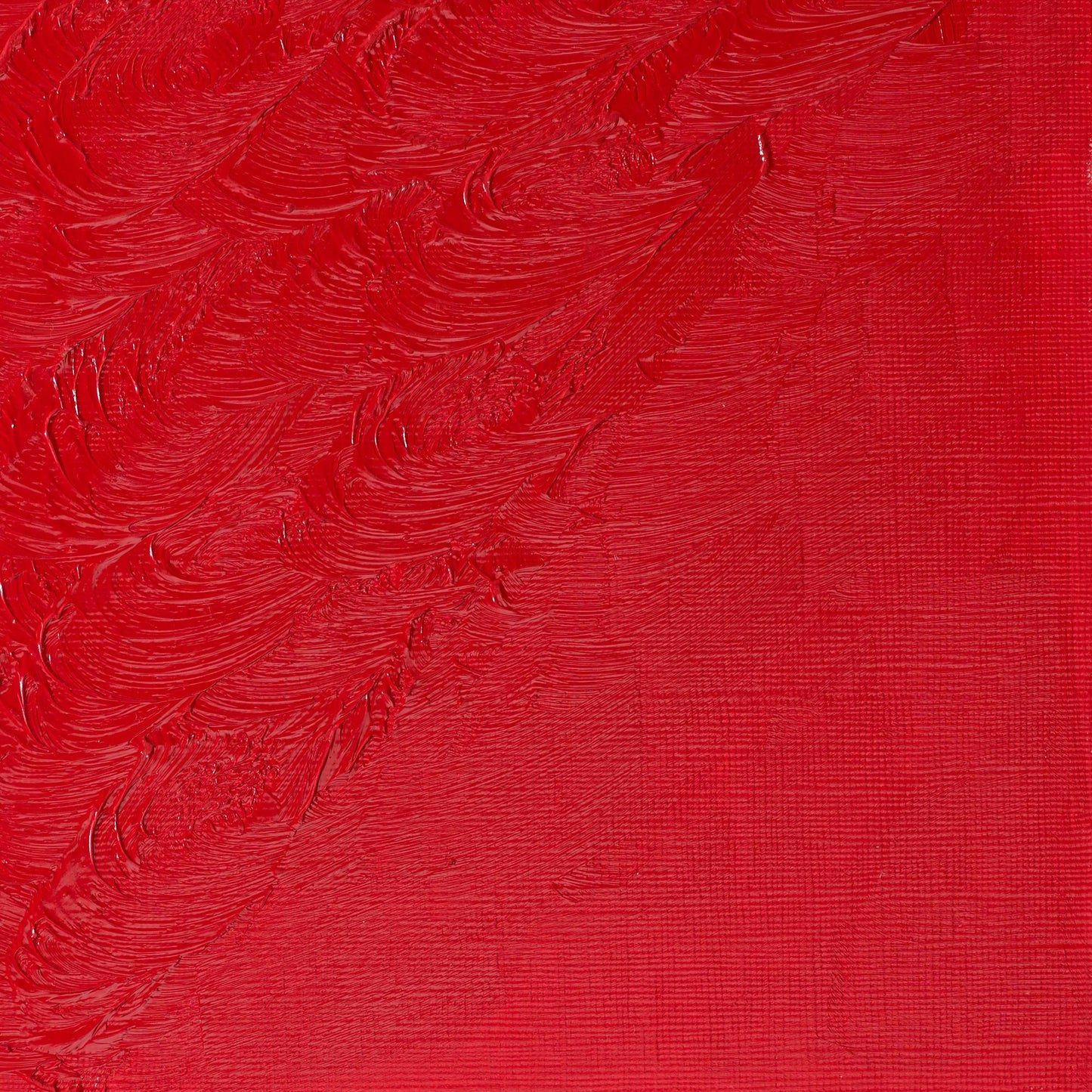 Winton Oil Colour 200ml Cadmium Red Deep Hue - theartshop.com.au