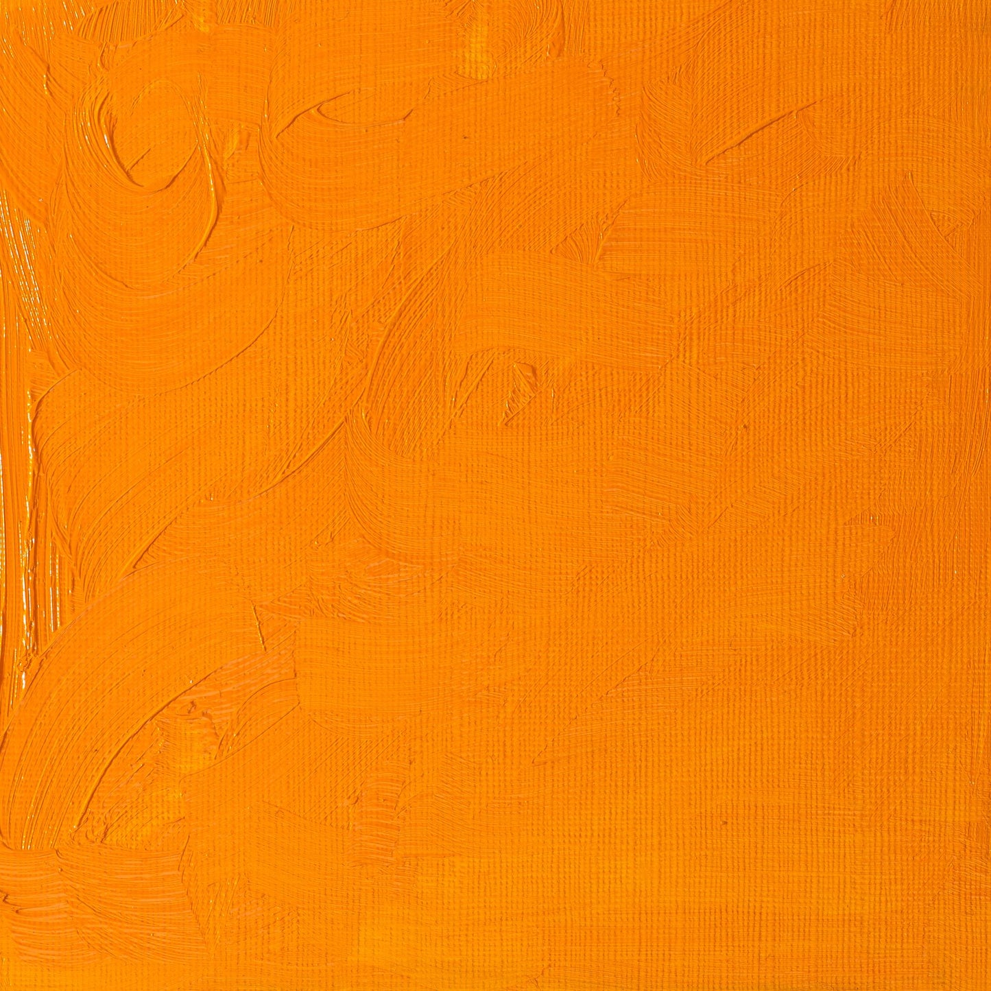 Winton Oil Colour 200ml Cadmium Yellow Deep Hue - theartshop.com.au