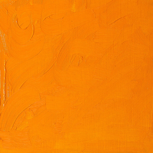 Winton Oil Colour 200ml Cadmium Yellow Deep Hue - theartshop.com.au