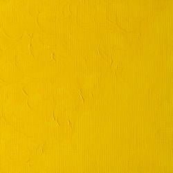 Winton Oil Colour 200ml Cadmium Yellow Pale Hue - theartshop.com.au