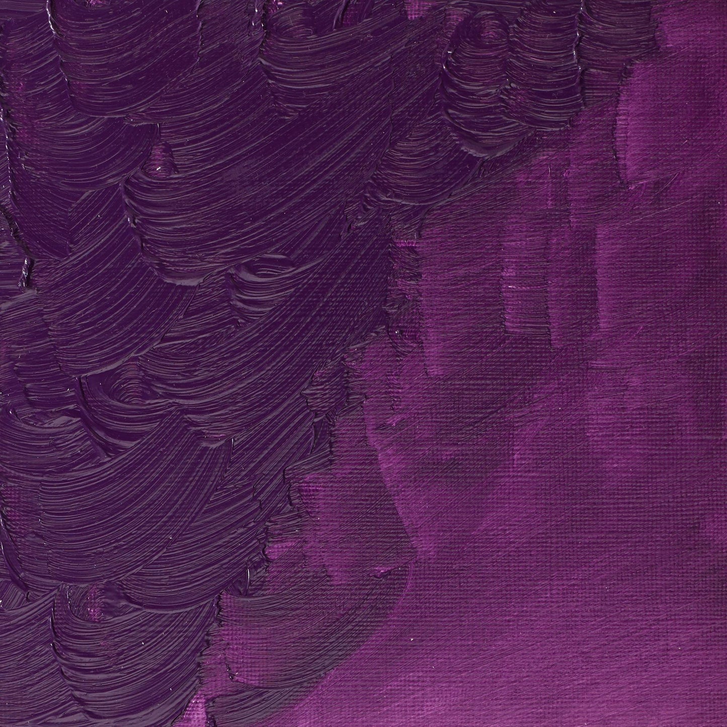 Winton Oil Colour 200ml Cobalt Violet Hue - theartshop.com.au