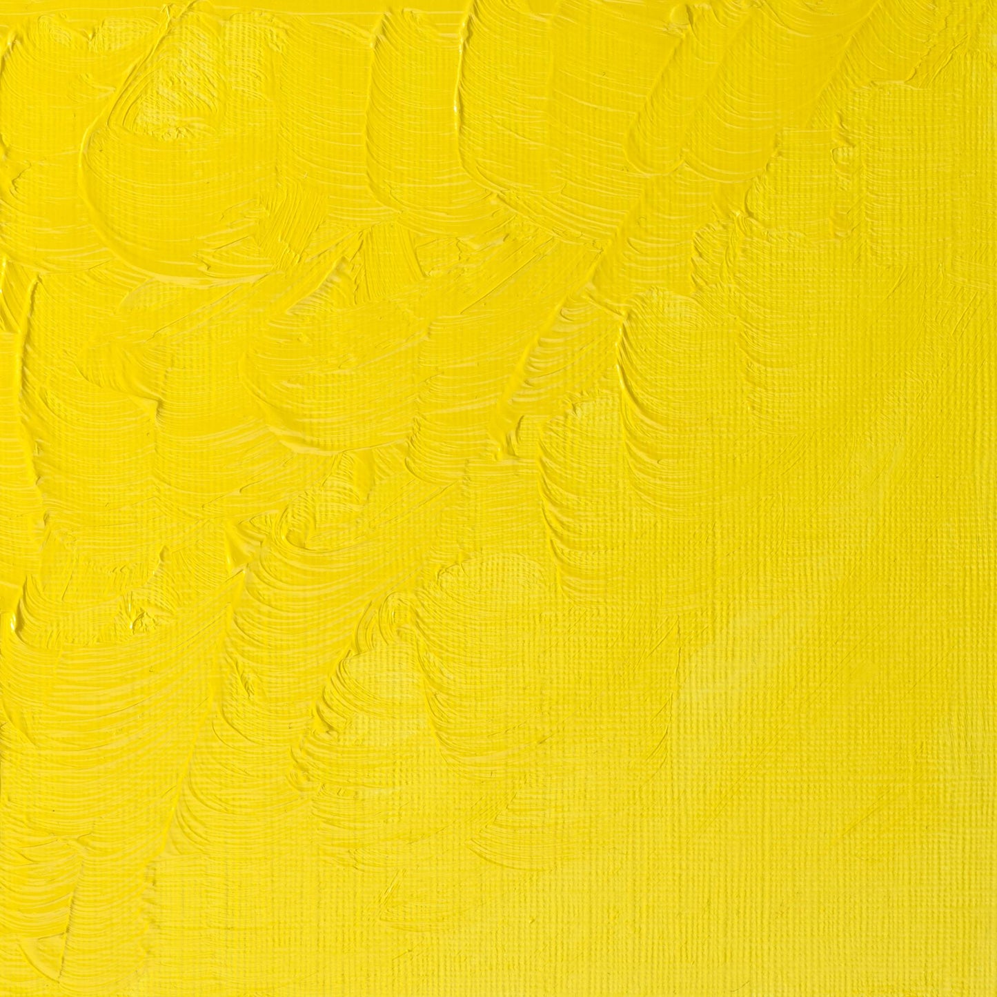 Winton Oil Colour 200ml Lemon Yellow Hue - theartshop.com.au
