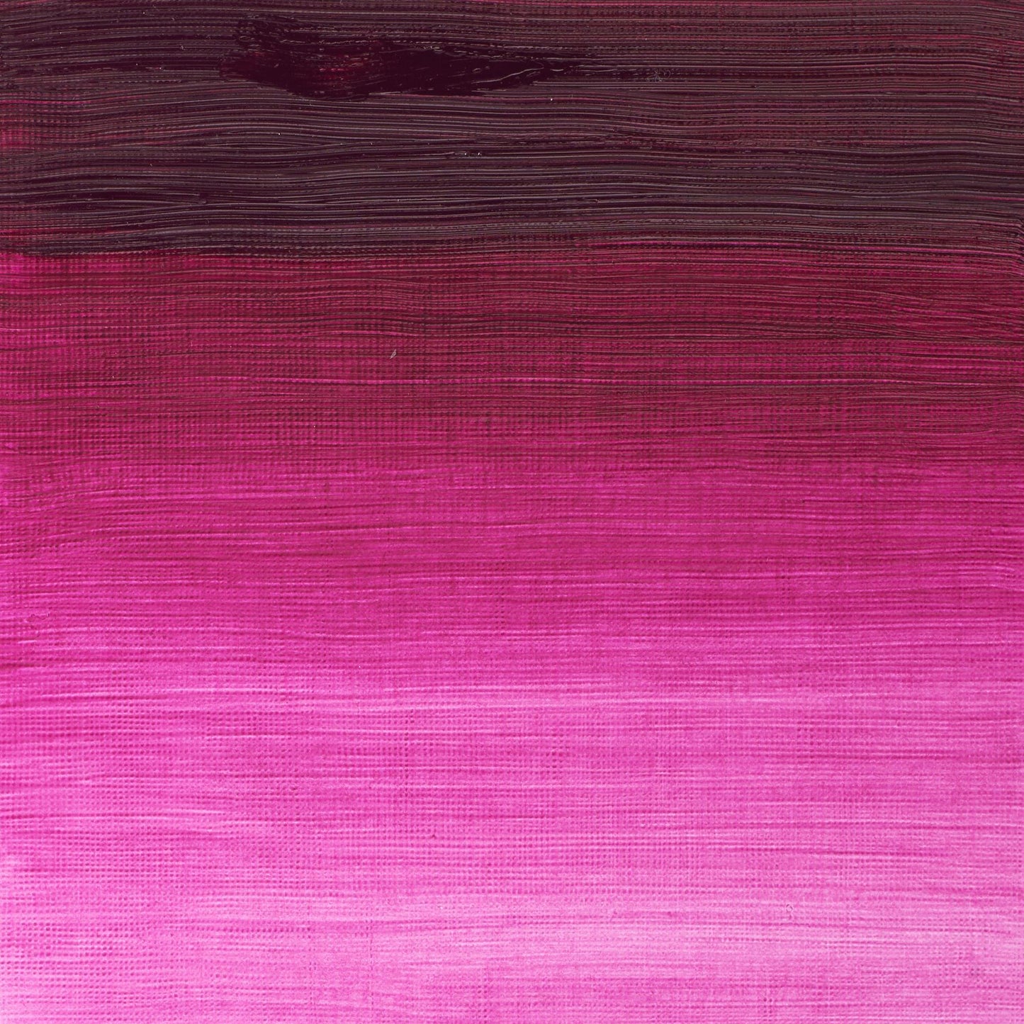 Winton Oil Colour 200ml Magenta - theartshop.com.au