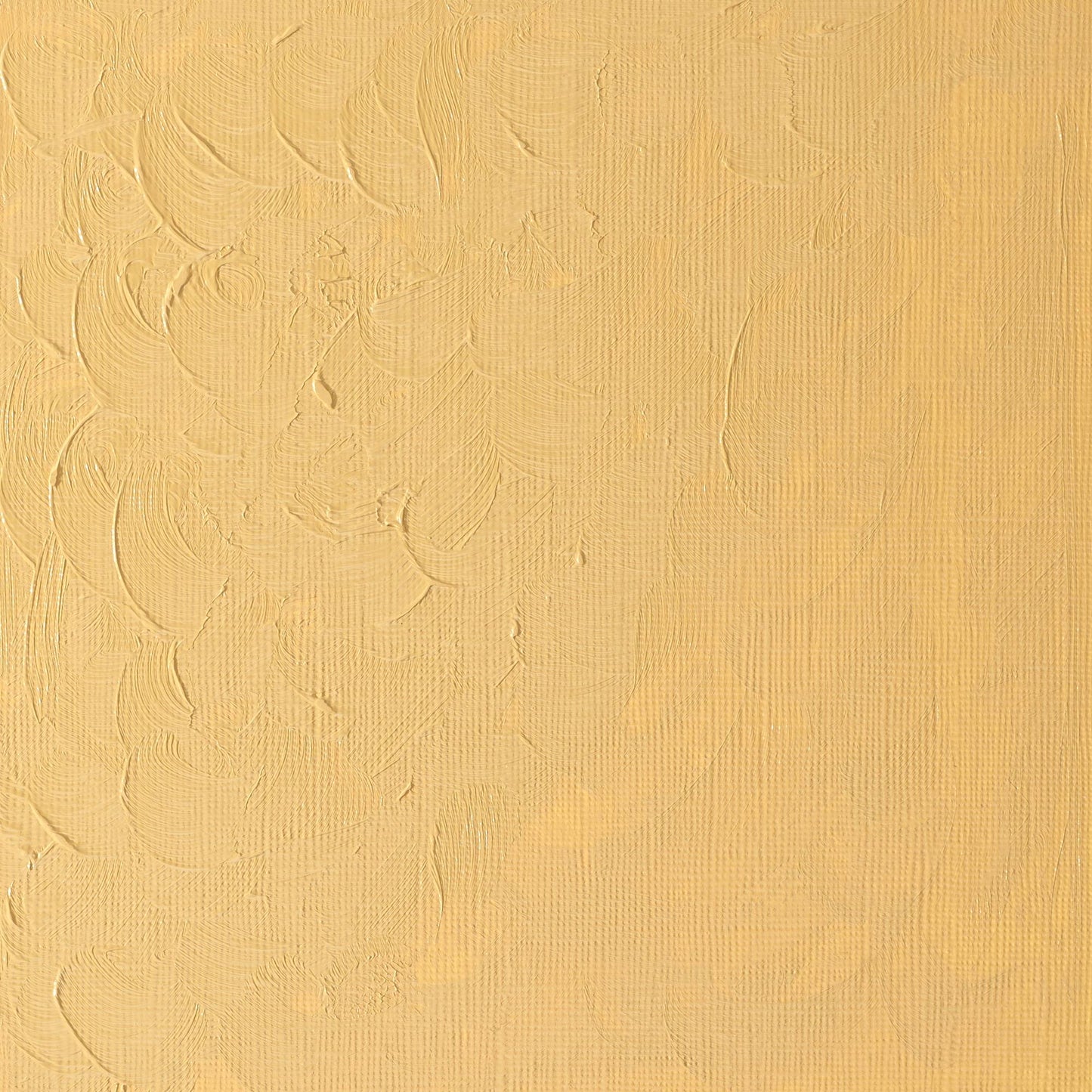 Winton Oil Colour 200ml Naples Yellow Hue - theartshop.com.au