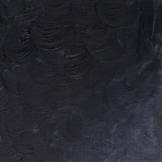 Winton Oil Colour 200ml Payne's Grey - theartshop.com.au