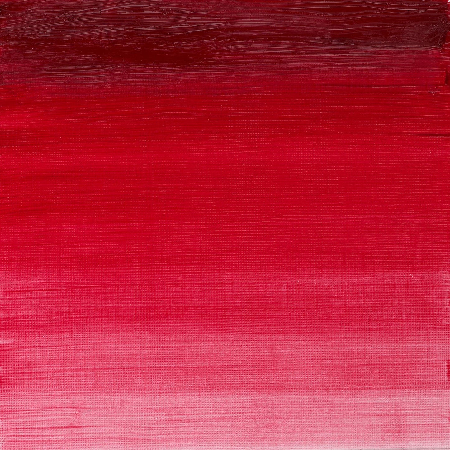Winton Oil Colour 200ml Permanent Alizarin Crimson - theartshop.com.au