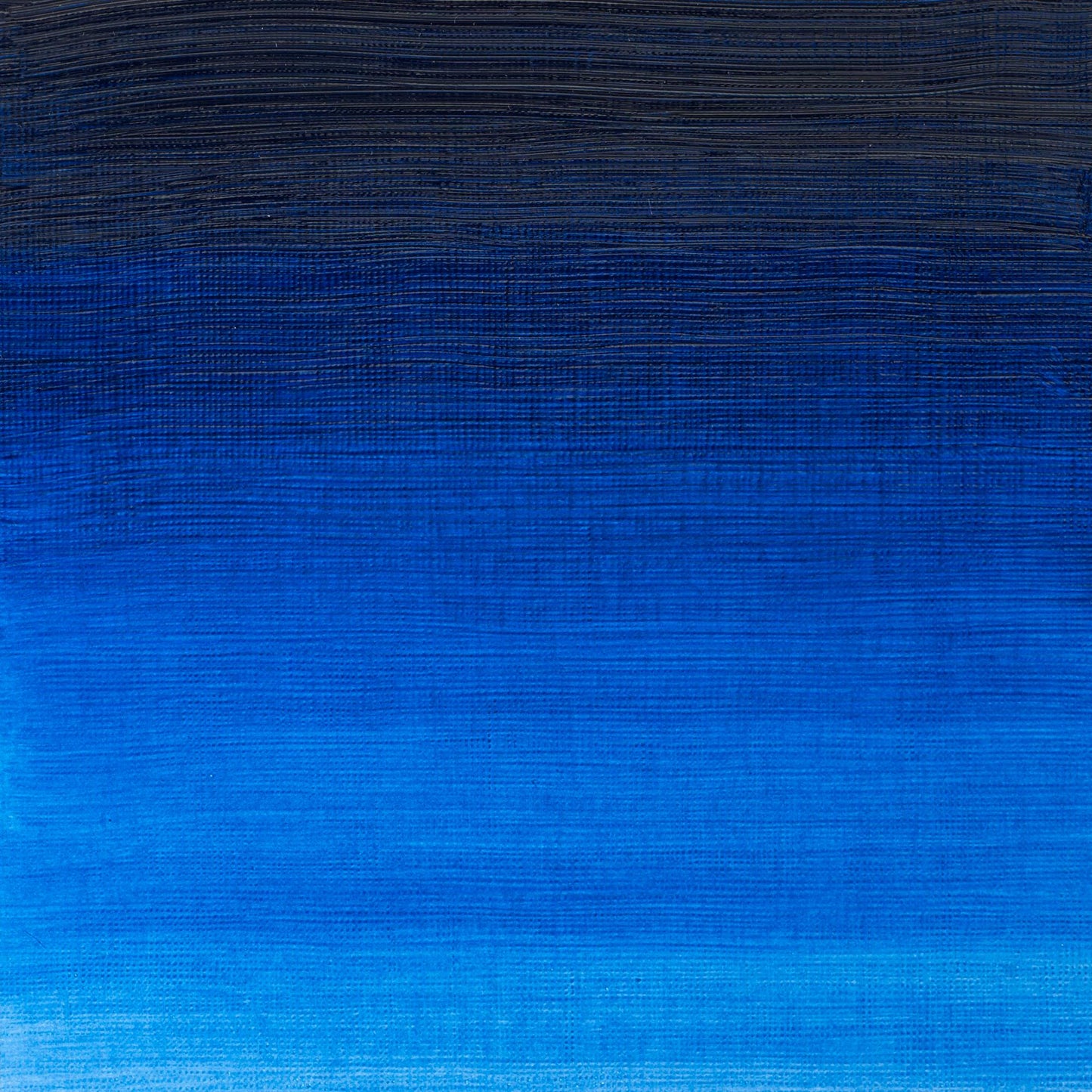 Winton Oil Colour 200ml Phthalo Blue - theartshop.com.au