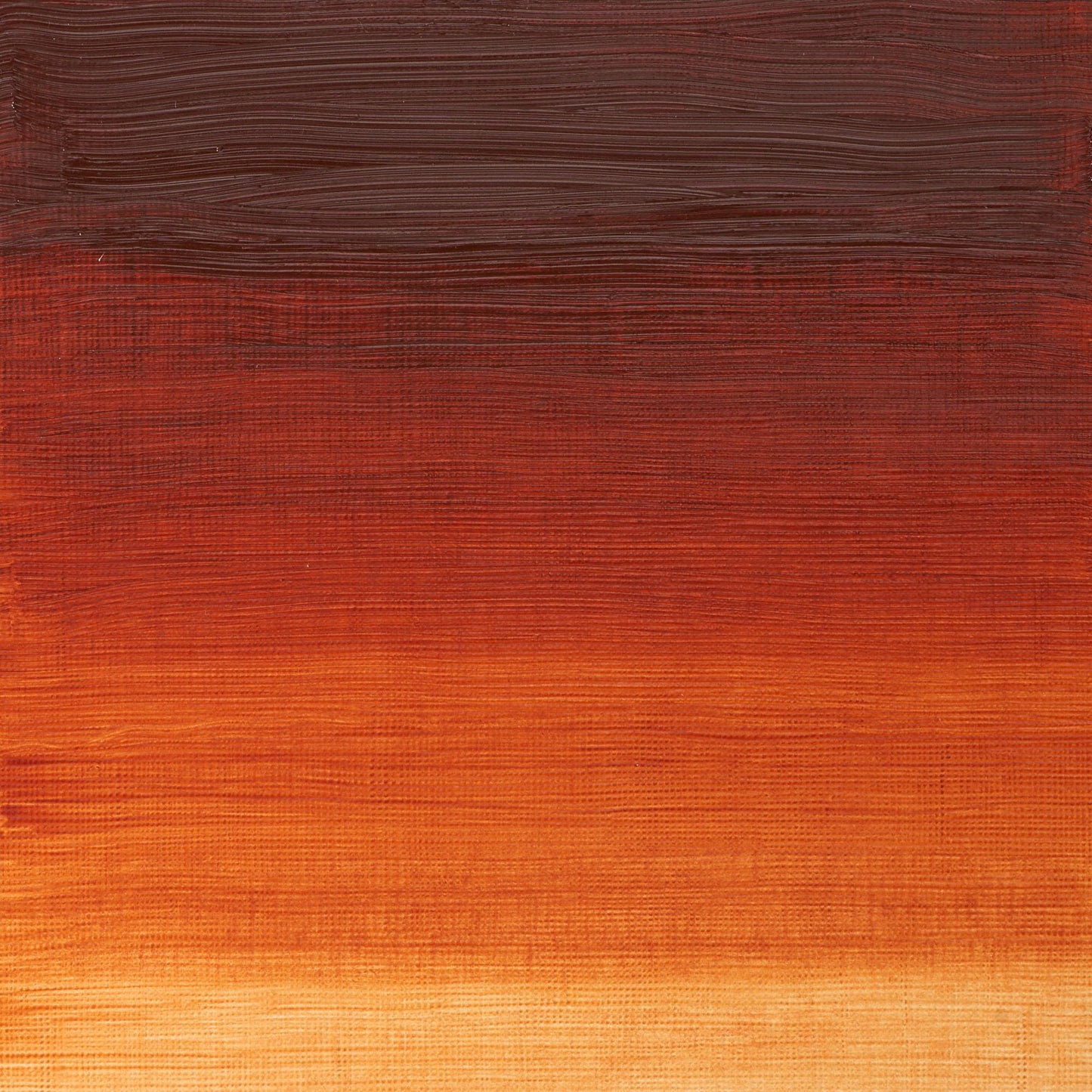 Winton Oil Colour 37ml Burnt Sienna - theartshop.com.au