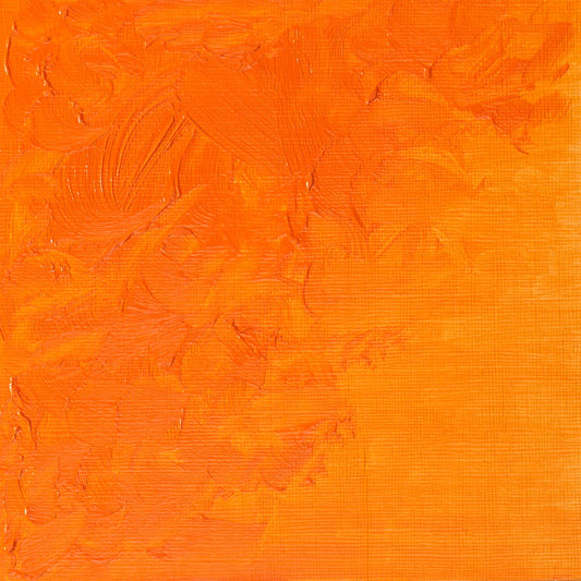 Winton Oil Colour 37ml Cadmium Orange Hue - theartshop.com.au