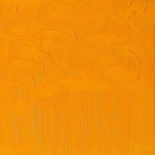 Winton Oil Colour 37ml Cadmium Yellow Hue - theartshop.com.au