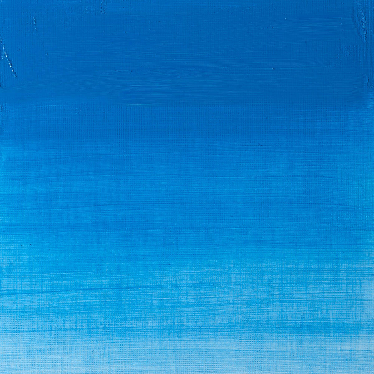 Winton Oil Colour 37ml Cerulean Blue Hue - theartshop.com.au