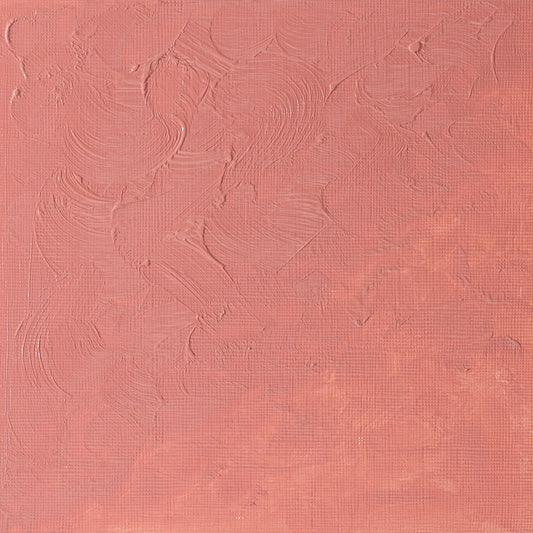 Winton Oil Colour 37ml Flesh Tint - theartshop.com.au