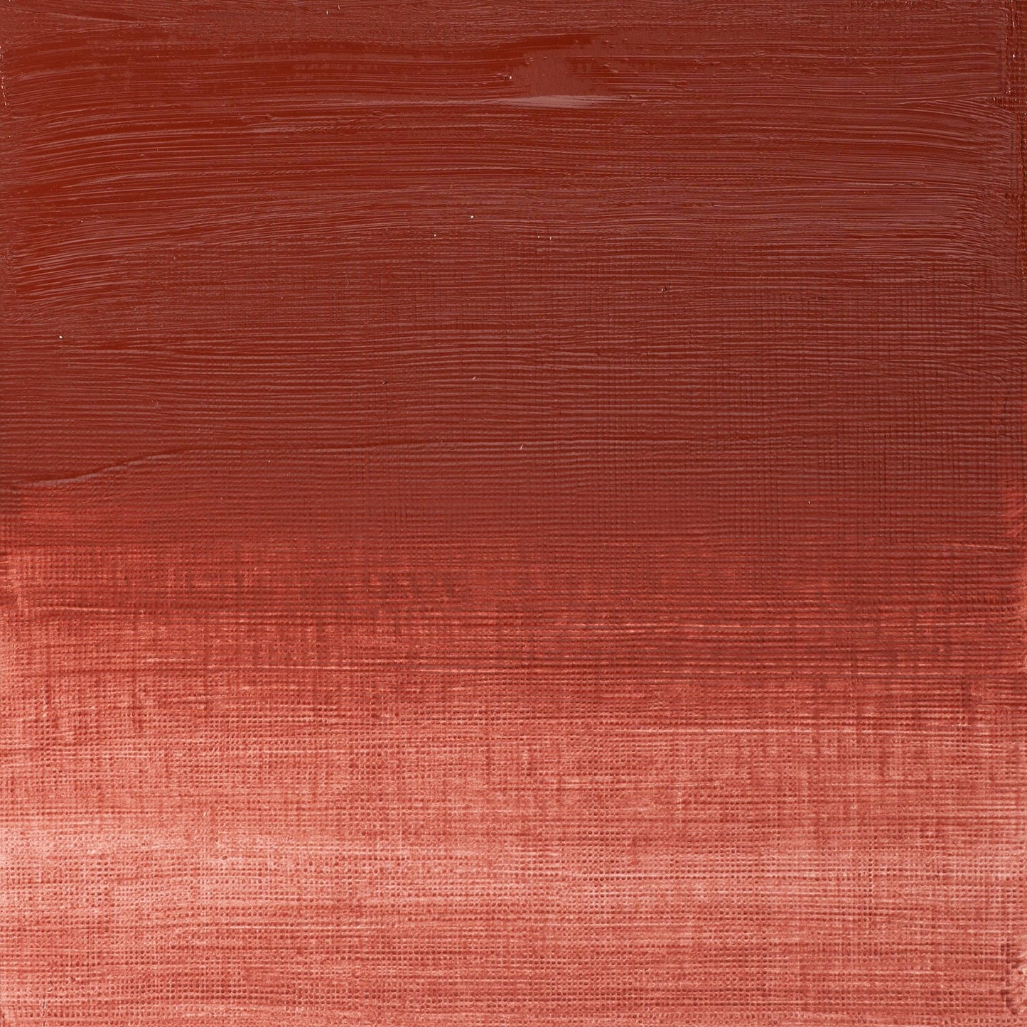 Winton Oil Colour 37ml Indian Red - theartshop.com.au