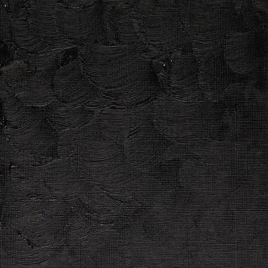 Winton Oil Colour 37ml Ivory Black - theartshop.com.au