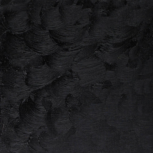 Winton Oil Colour 37ml Lamp Black - theartshop.com.au