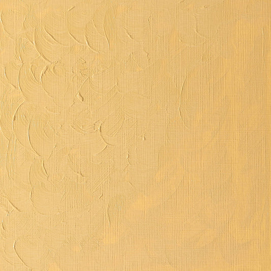 Winton Oil Colour 37ml Naples Yellow Hue - theartshop.com.au