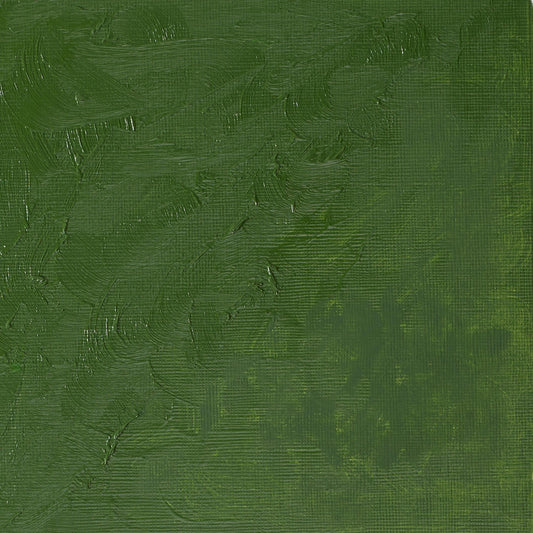 Winton Oil Colour 37ml Oxide of Chromium - theartshop.com.au