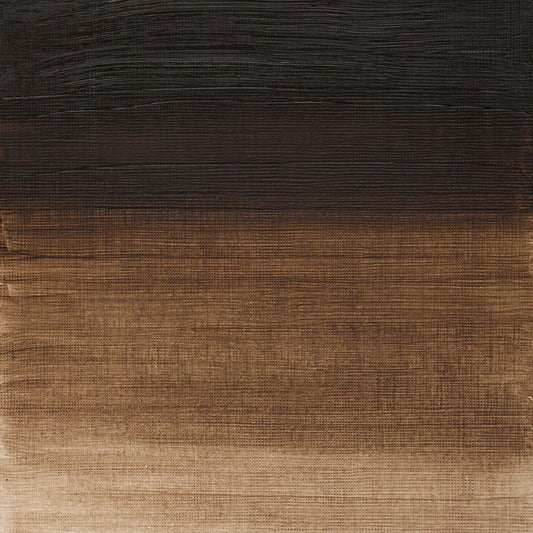Winton Oil Colour 37ml Raw Umber - theartshop.com.au