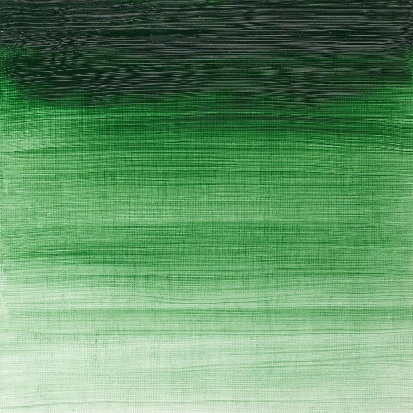 Winton Oil Colour 37ml Terre Verte - theartshop.com.au
