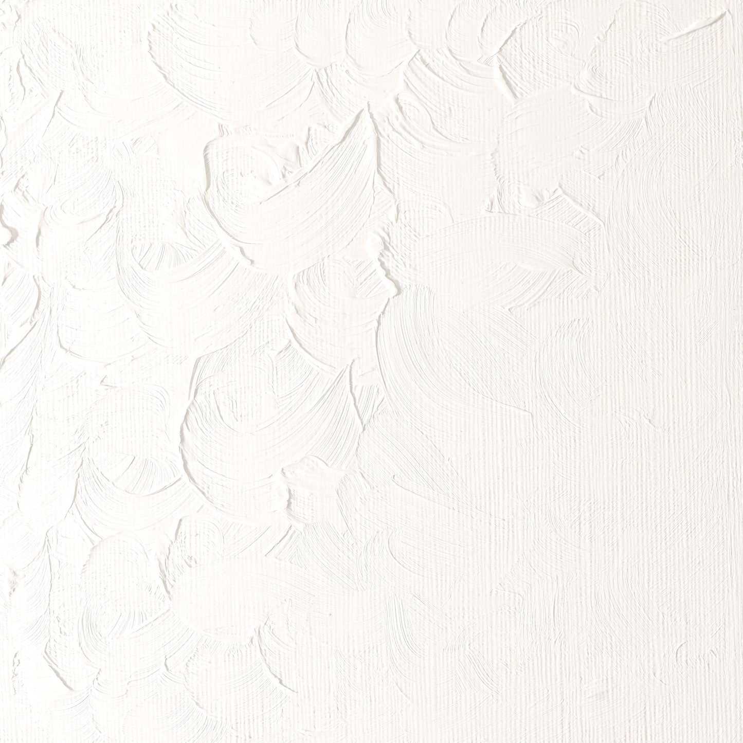 Winton Oil Colour 37ml Titanium White - theartshop.com.au