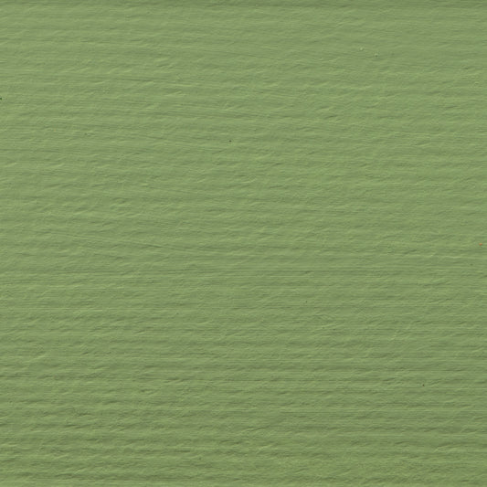 Reeves Acrylic Colour 75ml Pale Olive