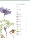 Paint 50: Watercolour Flowers Book By Penny Brown