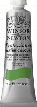 Winsor & Newton Artists' W/C 37ml Permanent Sap Green