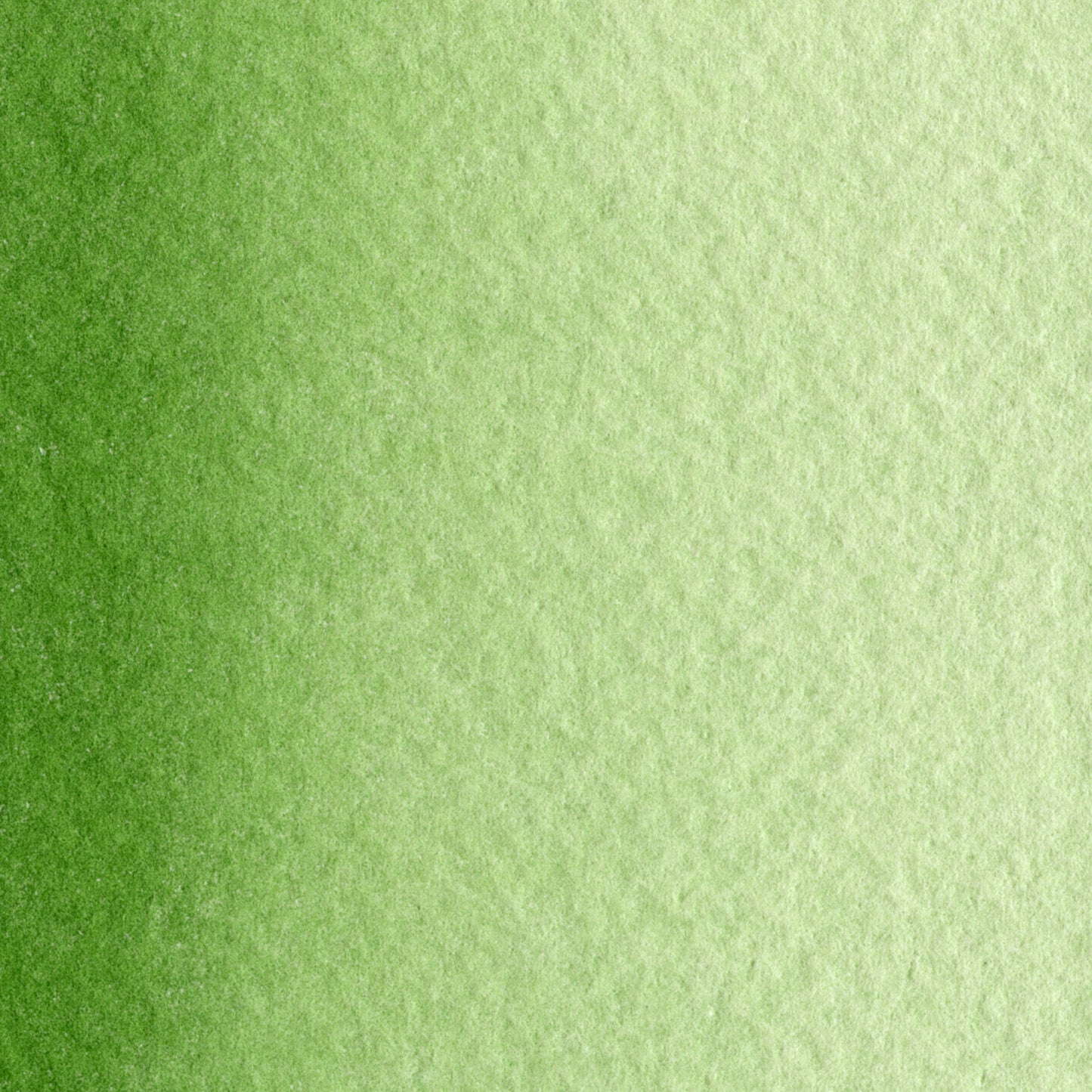 Maimeri Blu Watercolour 12ml Series 1 Sap Green 358