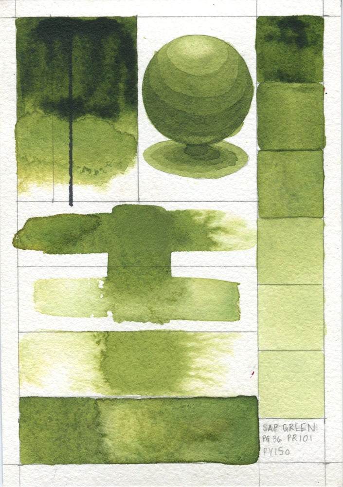 Qor Modern Watercolor 11ml Sap Green