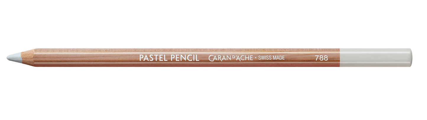 Caran d'Ache Pastel Pencil 002 Silver Grey