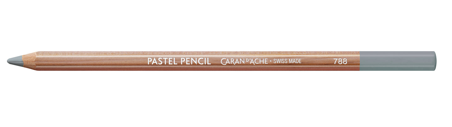Caran d'Ache Pastel Pencil 004 Steel Grey