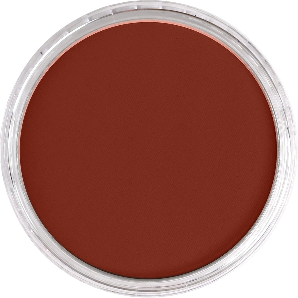 PanPastel Vermilion Shade 310.3